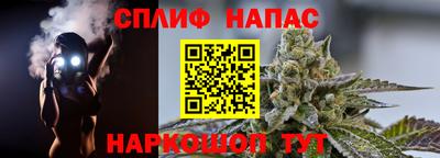 молекула духа Надым
