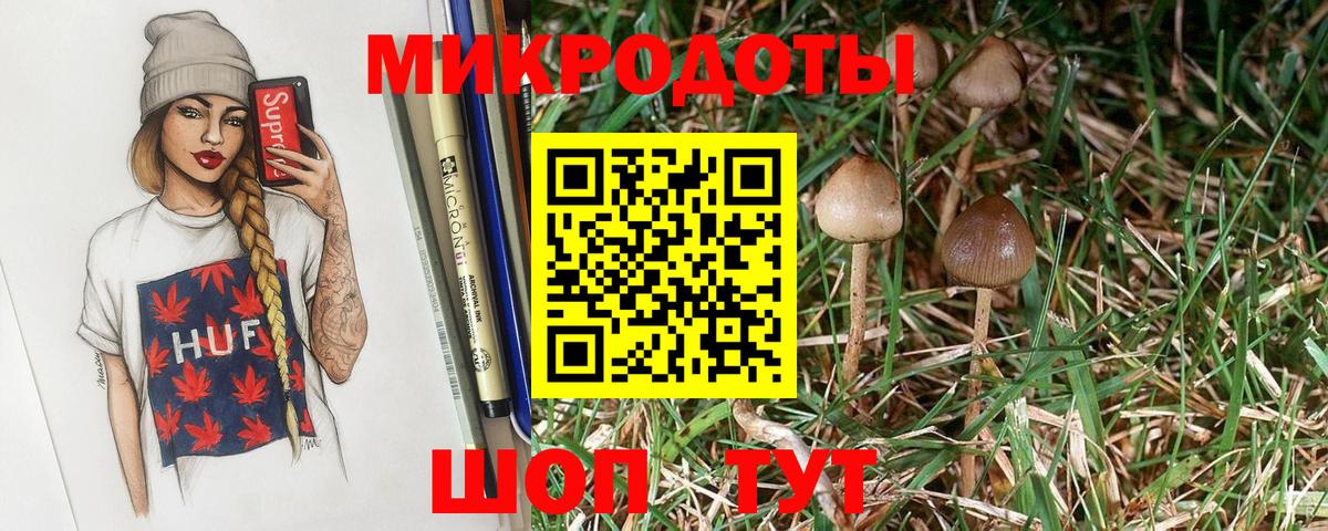 Галлюциногенные грибы прущие грибы  Вход с VPN  Бердск 