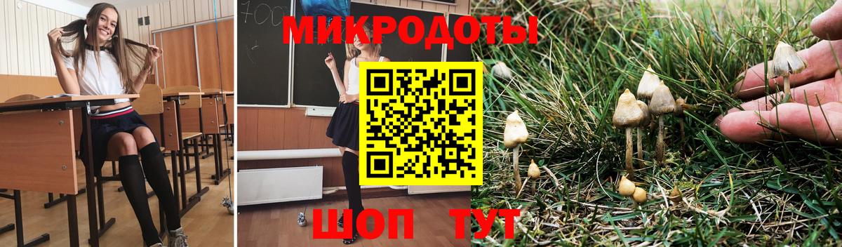 Псилоцибиновые грибы MAGIC MUSHROOMS Бердск